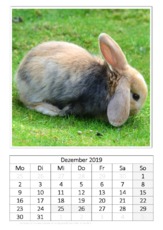 Dezember_Kaninchen_1.pdf